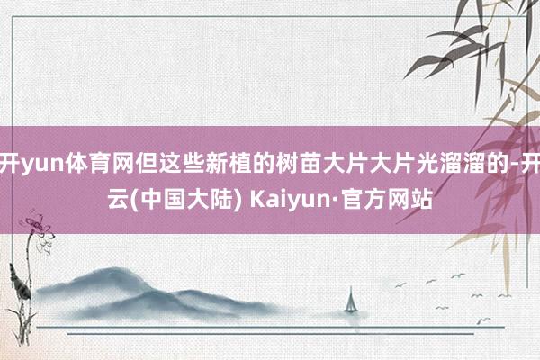 开yun体育网但这些新植的树苗大片大片光溜溜的-开云(中国大陆) Kaiyun·官方网站