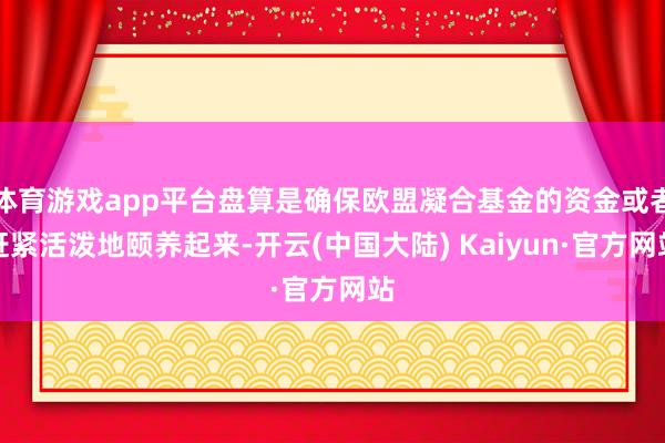 体育游戏app平台盘算是确保欧盟凝合基金的资金或者赶紧活泼地颐养起来-开云(中国大陆) Kaiyun·官方网站